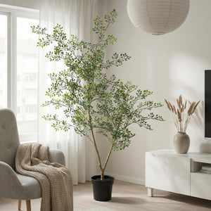 Bucida artificiel h71cm