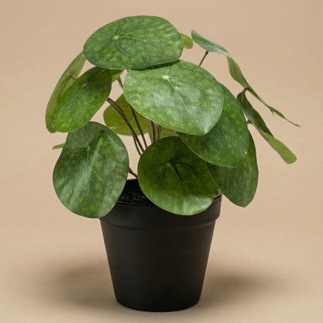 Pilea artificiel h25cm kruka inkluderad