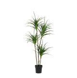 Dracaena konstgjord växt h165cm