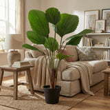 Licuala Storis palmier artificiel h104cm