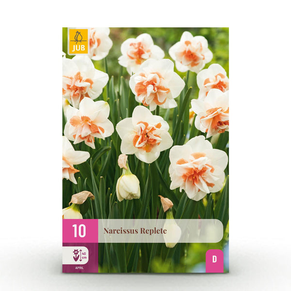 Green boutiQ - Bloembollen - Narcis Replete - Kleur Wit i Oranje - 10 stuks - Bolmaat 10/12 - XXL Pack