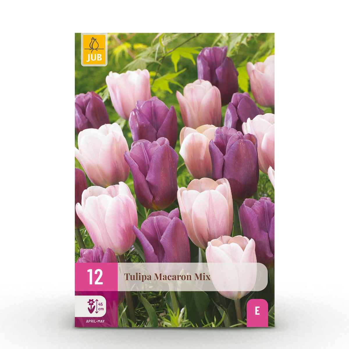 Green boutiQ - Bloembollen - Tulp Macron mix - Diversen Kleuren - 12 stuks - Bolmaat 11/12 - XXL Pack