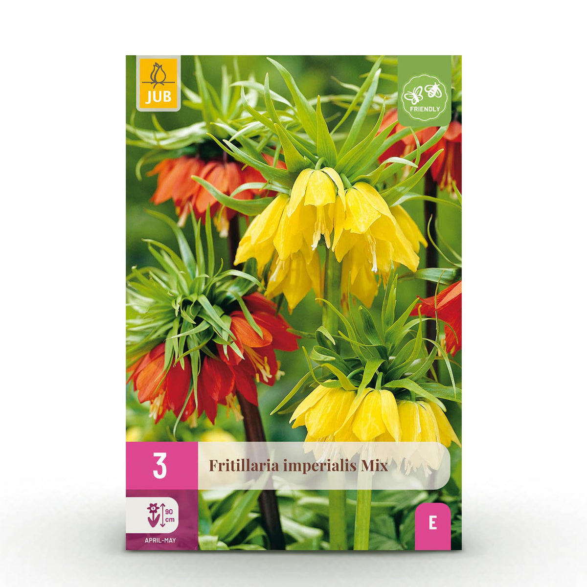 Green boutiQ - Bloembollen - Fritillaria Imperialis Mix - Kleur Geel i Oranje - 3 stuks - Bolmaat 18/20 - XXL Pack