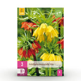Green boutiQ - Bloembollen - Fritillaria Imperialis Mix - Kleur Geel i Oranje - 3 stuks - Bolmaat 18/20 - XXL Pack
