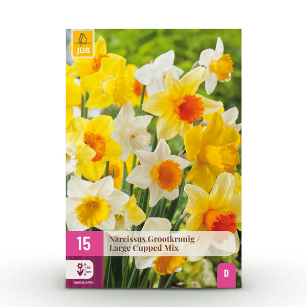 Green boutiQ - Bloembollen - Narcis Large Cupped mix - Kleur Geel i Wit - 15 stuks - Bolmaat 12/14 - XXL Pack