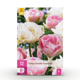 Green boutiQ - Bloembollen - Tulp Double Sensation - Kleur Wit i Roze - 12 stuks - Bolmaat 11/12 - XXL Pack