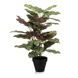 Calathea makoyana artificiel i kruka h65cm