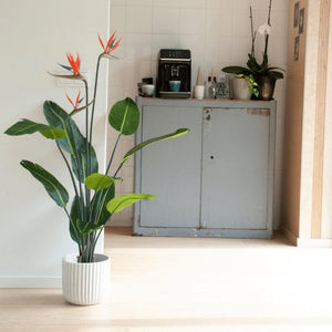 Oiseau av paradis artificiel i kruka h120cm
