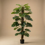 Monstera artificiel h150cm