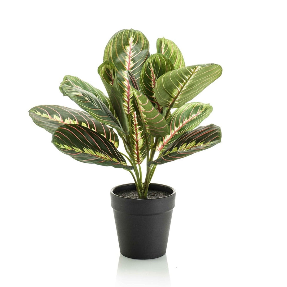 Maranta artificielle i kruka h30cm