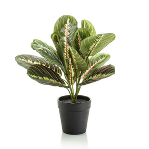 Maranta artificielle i kruka h30cm