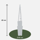 Clematis The President - Clematis Paars - Ø15cm - ↕65cm