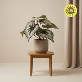 Begonia artificiel h26cm