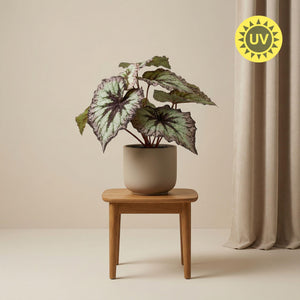 Begonia artificiel h26cm