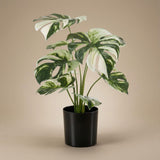 Monstera variegata artificiel h40cm kruka inkluderad