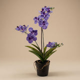 Orchidee Vanda violet artificiel h60cm kruka inkluderad