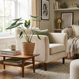 Green boutiQ - Kamerplant - Olifantsoor - Alocasia Zebrina - Groen - Weinig onderhoud - 1 Plant - met Potter Grijs - Kruka 21 cm - Hoogte 70 - 75cm