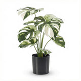 Monstera variegata artificiel h40cm kruka inkluderad