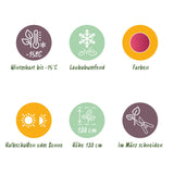 Green boutiQ - Terrasplant - Japanse Esdoorn - Acer palmatum Pink Dwarf - Roze - 1 Plant - Bladverliezend - Kruka 19cm Hoogte 70cm