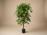 Ficus haut de gamme artificiel h140cm