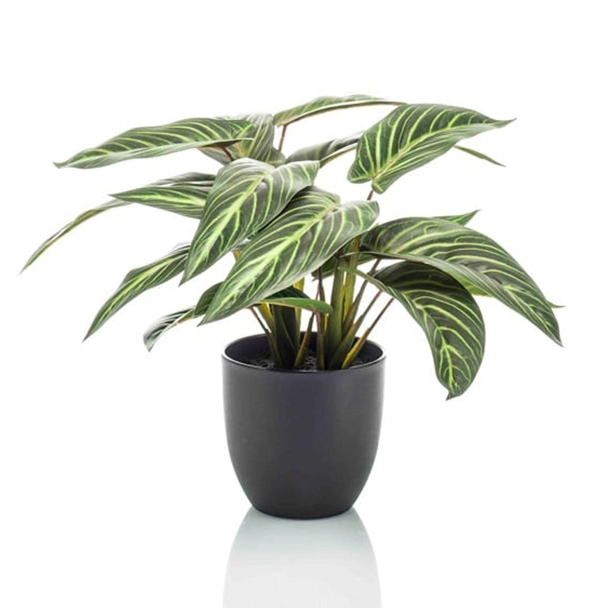 Calathea artificiel och kruka h40cm
