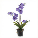 Orchidee Vanda violet artificiel h60cm kruka inkluderad