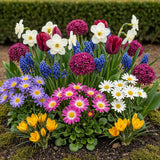 Green boutiQ - Bloembollen - Bulb Garden mix - Diversen soorten i kleuren - 125 stuks - Gift Verpakking