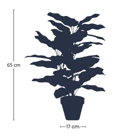 Calathea makoyana artificiel i kruka h65cm