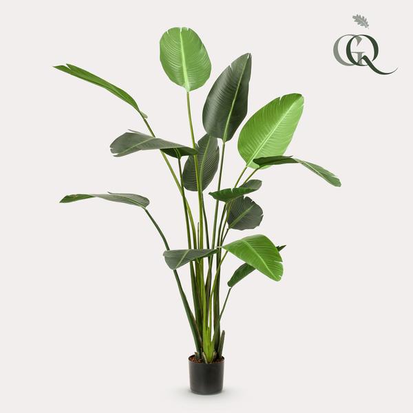 Konstplanta - Strelitzia Nicolai - Paradijsvogelbloem - 230cm