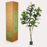 Konstplanta - Ficus Lyrata - Tabaksplanta - 210 cm