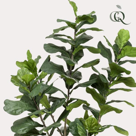 Konstplanta - Ficus Lyrata - Tabaksplanta - 210 cm