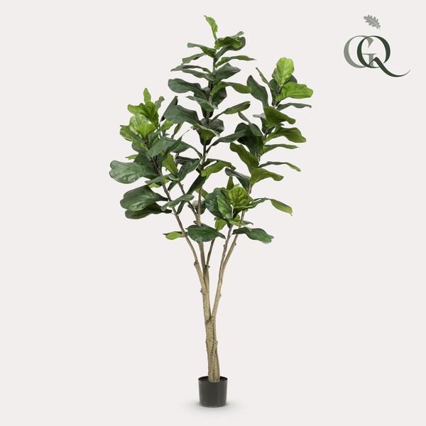 Konstplanta - Ficus Lyrata - Tabaksplanta - 210 cm