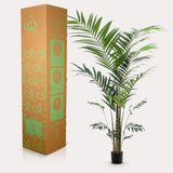 Konstplanta - Kentia -Kentiapalm - 210cm