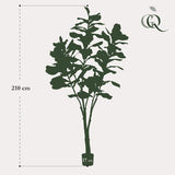 Konstplanta - Ficus Lyrata - Tabaksplanta - 210 cm