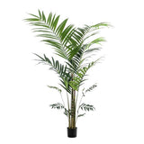 Konstplanta - Kentia -Kentiapalm - 210cm