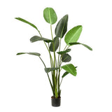 Konstplanta - Strelitzia Nicolai - Paradijsvogelbloem - 230cm
