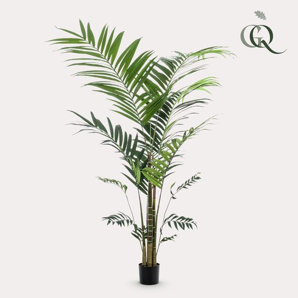 Konstplanta - Kentia -Kentiapalm - 210cm