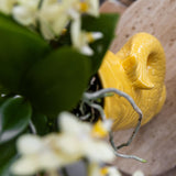 Kolibri Company | Gift set Mediterranean Sunset | Växtnset met witte Phalaenopsis Orchidee Lausanne i Succulenten incl. keramieken sierpotten