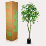Konstplanta - Pachira Aquatica - Geldboom - 180 cm