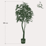 Konstplanta - Pachira Aquatica - Geldboom - 180 cm