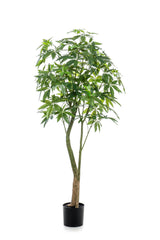 Konstplanta - Pachira Aquatica - Geldboom - 180 cm