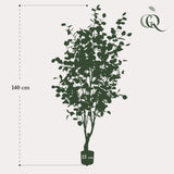 Konstplanta - Eucalyptus - Blå Gomboom - 140cm - 140