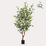 Konstplanta - Eucalyptus - Blå Gomboom - 140cm - 140